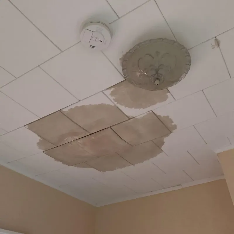 Ceiling Water Damage Repair in Hillcrest, NY
