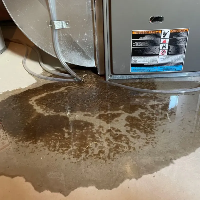 Pipe Burst and Leak Restoration in Hillcrest, NY